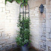 obelisque pour plantes grimpantes york - 220 cm
